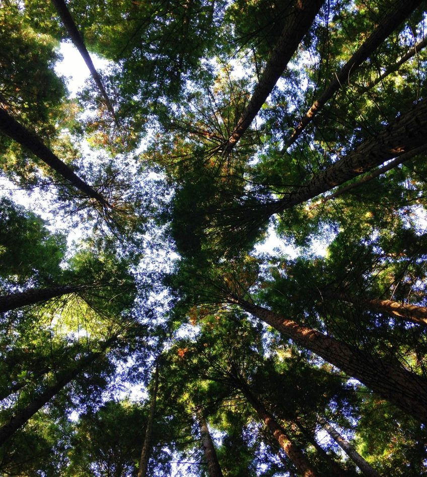 angela-benito-WgGJjGN4_ck-unsplash